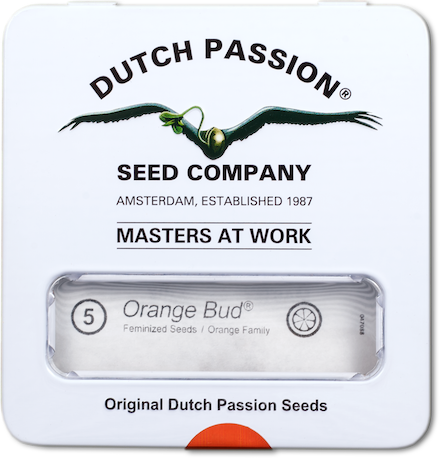 Семена конопли Orange Bud