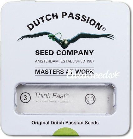 Семена конопли Think Fast ®