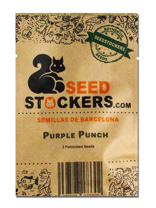 Семена конопли Purple Punch (St)