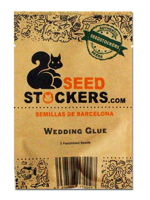 Семена конопли Wedding Glue (St)