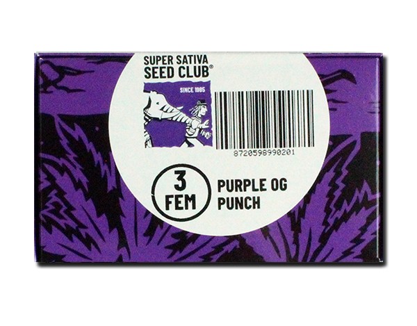 Семена конопли Purple OG Punch (SSSC)