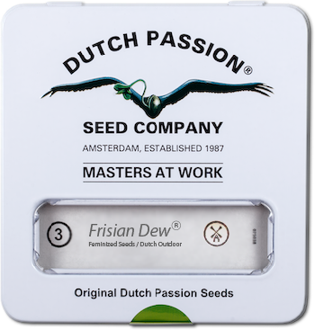 Семена конопли Frisian Dew ®